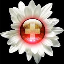 Profile image of Swissmast0