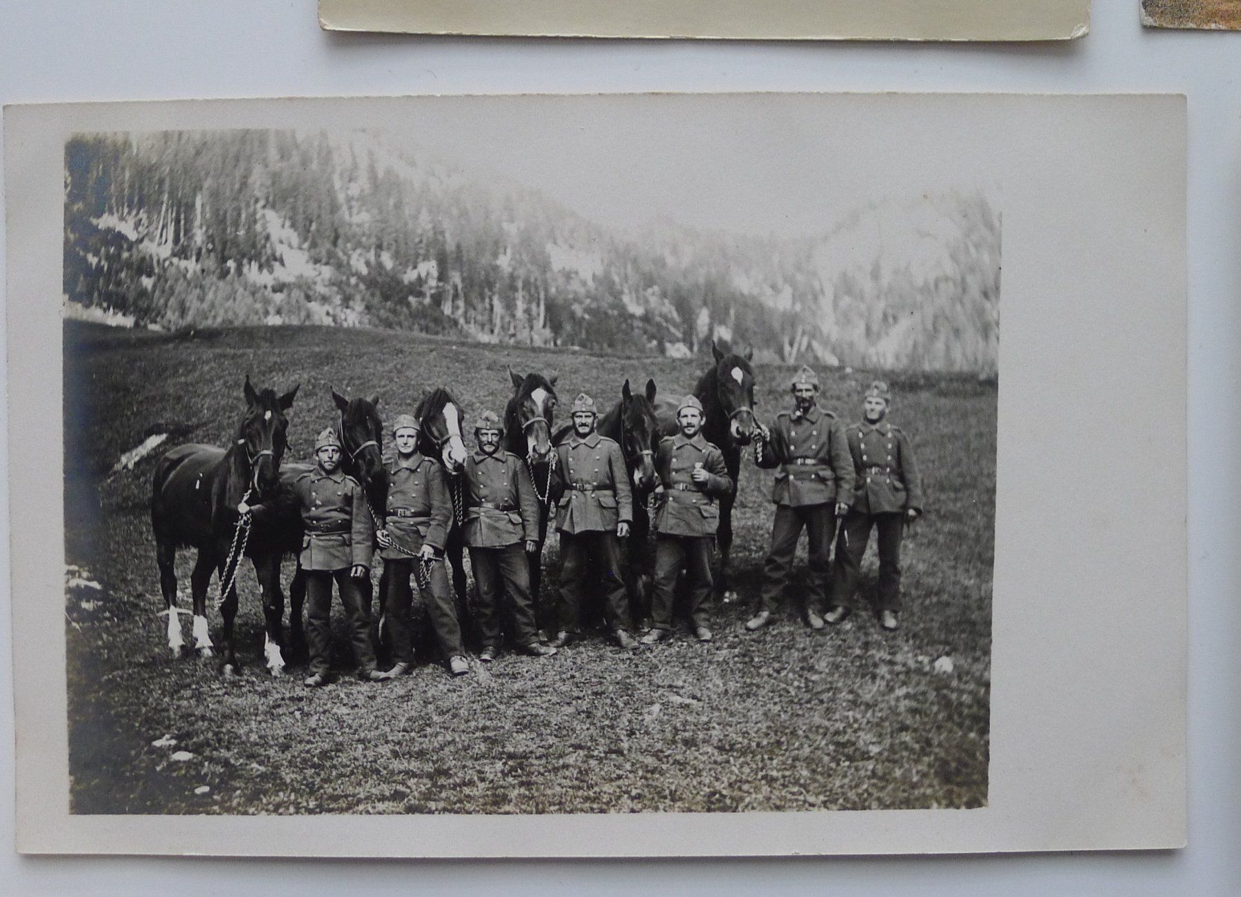 Cartoline postali: Lot Ansichtskarten Militär, Armee Soldaten, Pferd... – Usato da Ebikon venduto da SilvioFreund 3