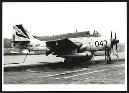 Fotografie Flugzeug Fairey Gannet der Ro