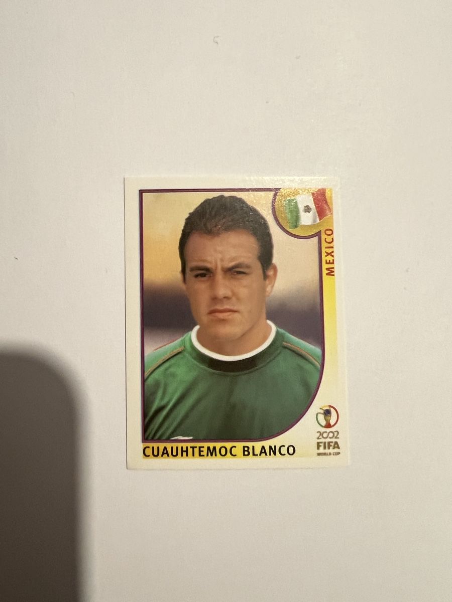 Panini Carte collezionabili: Panini WM02 Bild – Usato da Willisau venduto da Neiro77