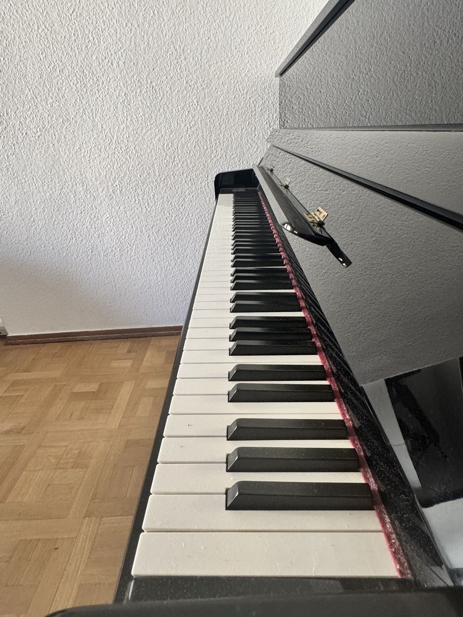 Strumenti musicali: Piano – Usato da Genève venduto da Artgatito 3