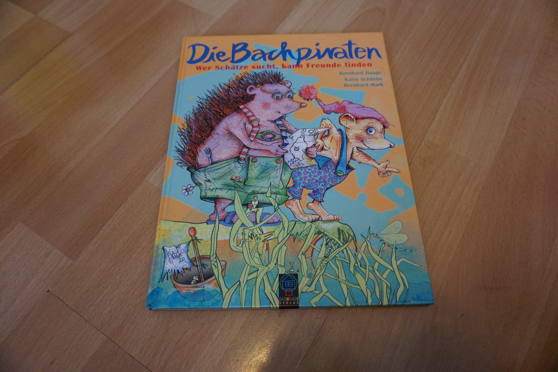 Bücher: Bilderbuch Die Bachpiraten – Gebraucht aus Zürich von einalemjena