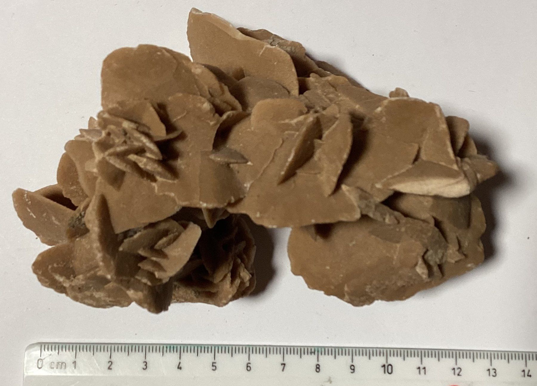 Mineralien & Heilsteine: Rosa del deserto – Gebraucht aus Arogno von alan_service