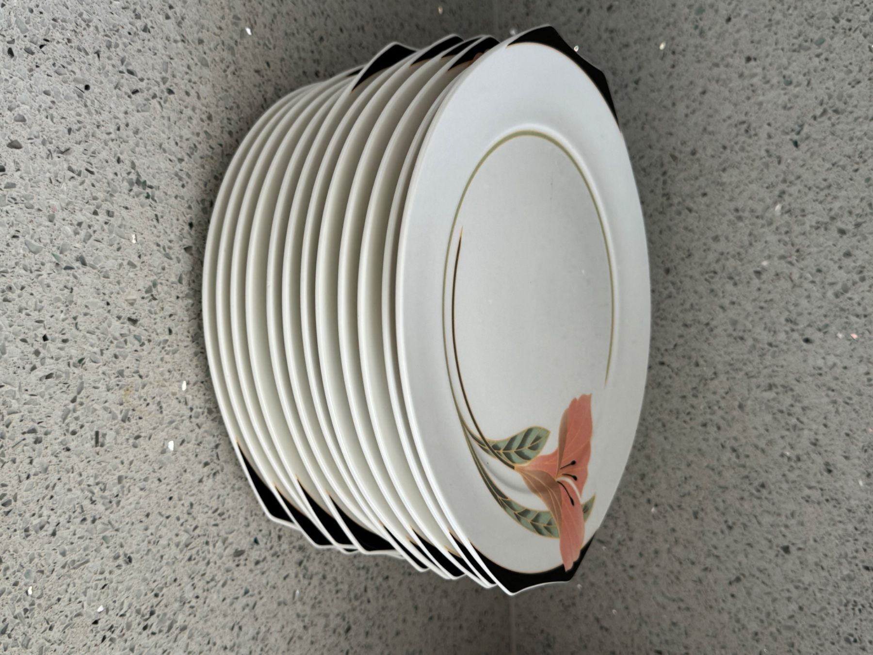 Villeroy & Boch Piatti: Villeroy & Boch Teller – Usato da hochdorf venduto da tariq1 8