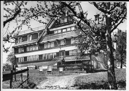 Gasthaus & Pension Frohwies, Bächi-Hemberg