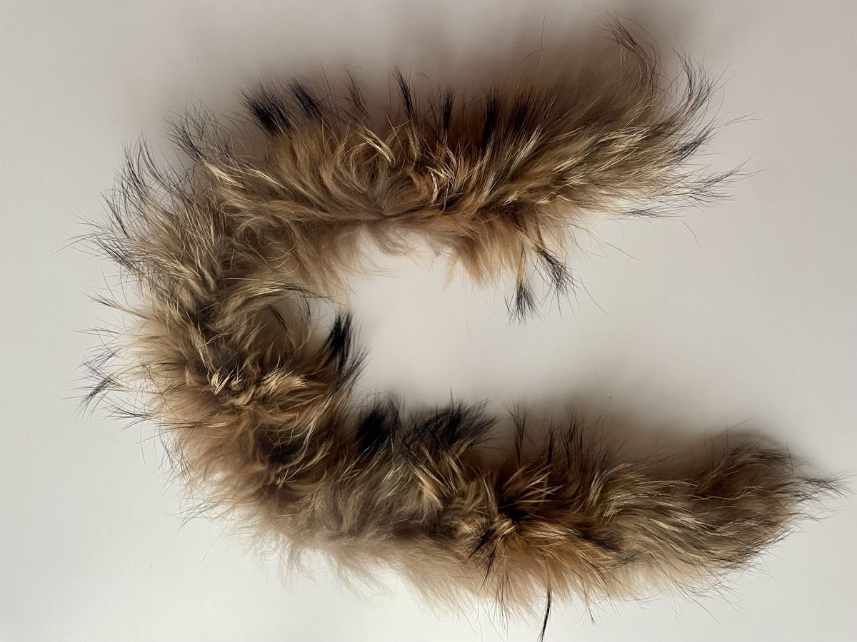 Welt der Tiere: Echter Pelzkragen/Fellkragen – Gebraucht aus Gockhausen von AnneT07