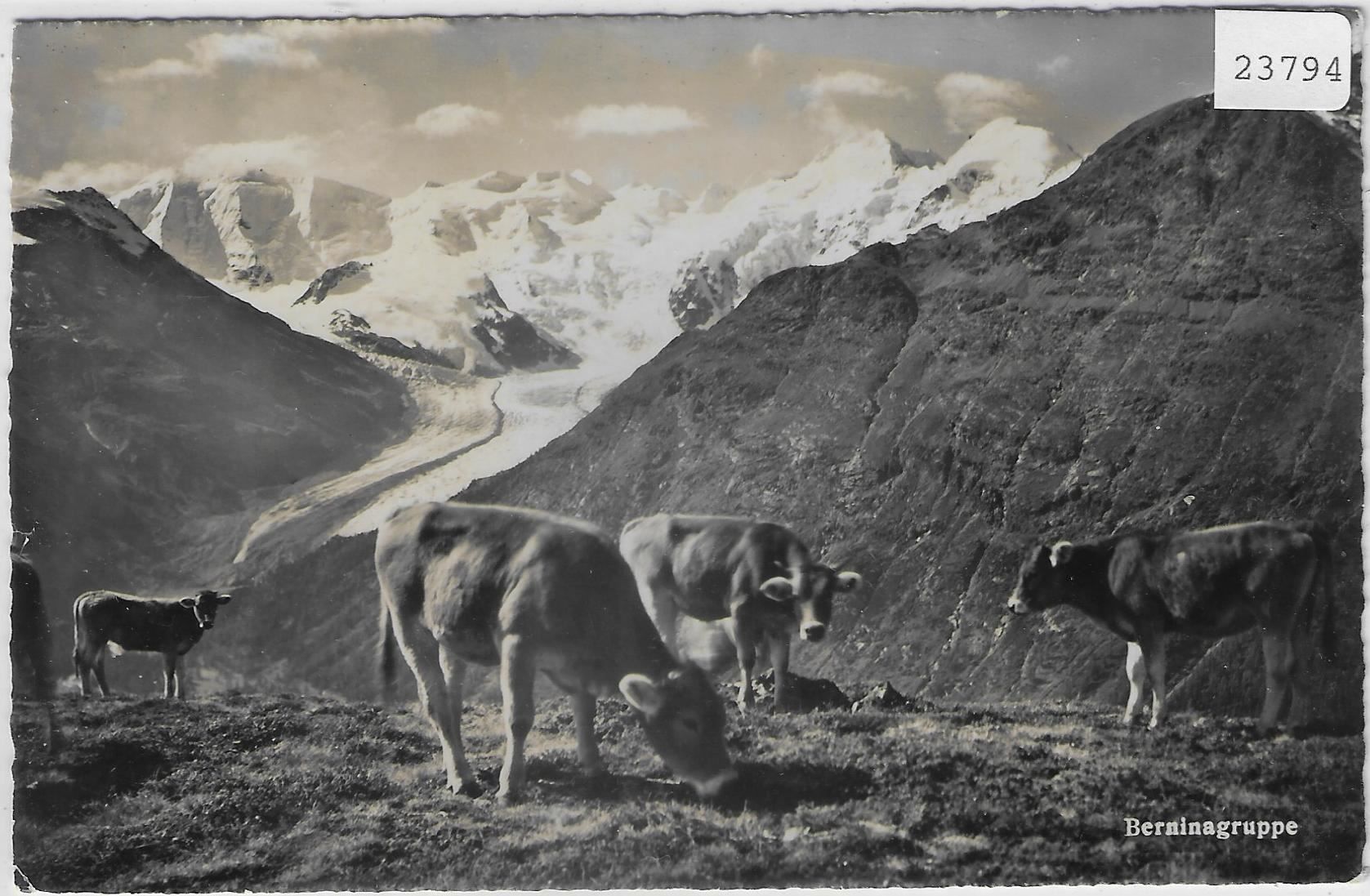 Cartes postales: Berninagruppe, Rosegggletscher - Rinder – Antique à Ettingen par Kartenplanet