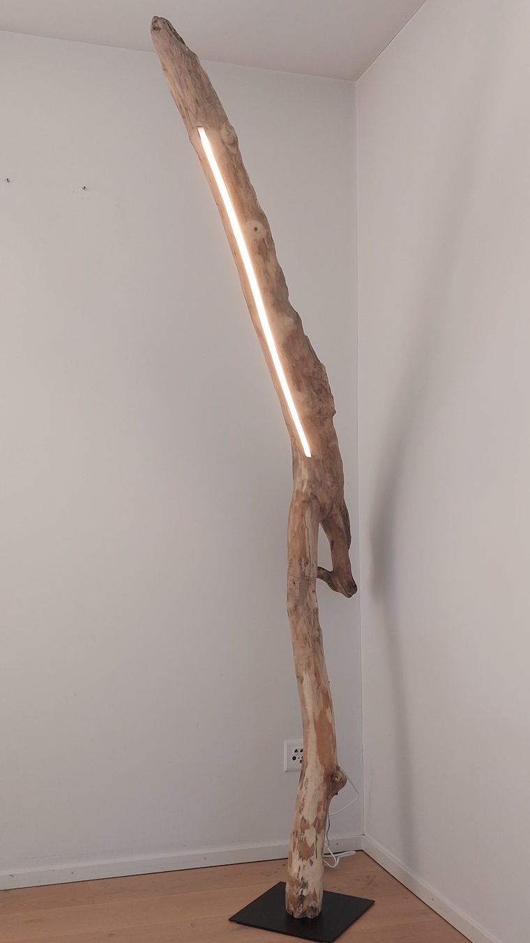 Lampade: Schwemmholz-Leselampe "Arcwood Light" – Nuovo e nell'imballaggio originale da Egnach venduto da Oldwoodstyle 8