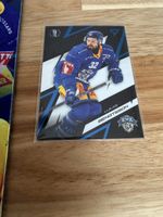 Sportzoo Playoffs 25/26 EVZ blue Bengtsson 41/60