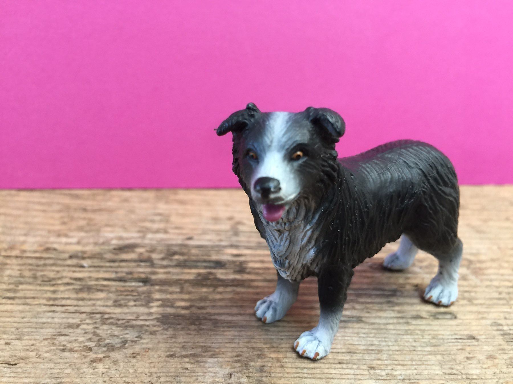 Schleich Statuette: Schleich Border Collie Hund – Usato da Ennetbaden venduto da mapa05 2