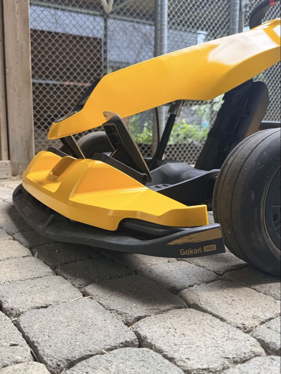 Voiturettes électriques: Lamborghini Ninebot Gokart – D'occasion à Untereggen par noe_v7cs 7