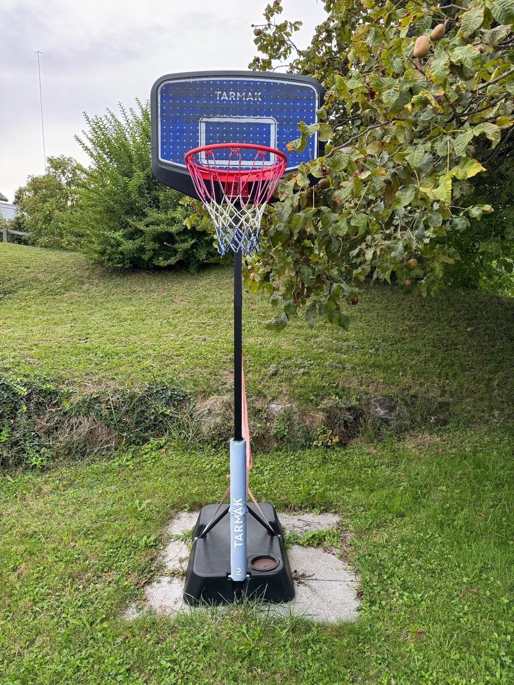 Canestri da basket: Basektballkorb – Usato da Tübach venduto da Barbara0082