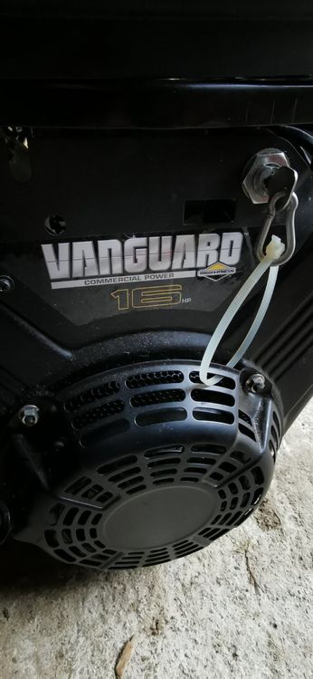 Briggs&Stratton Motor | Kaufen auf Ricardo
