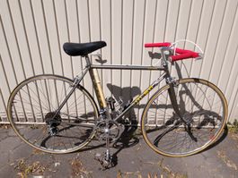 Olmo Gentelman RG 50cm( Ita 48cm) Stahl Rennvelo Campagnolo