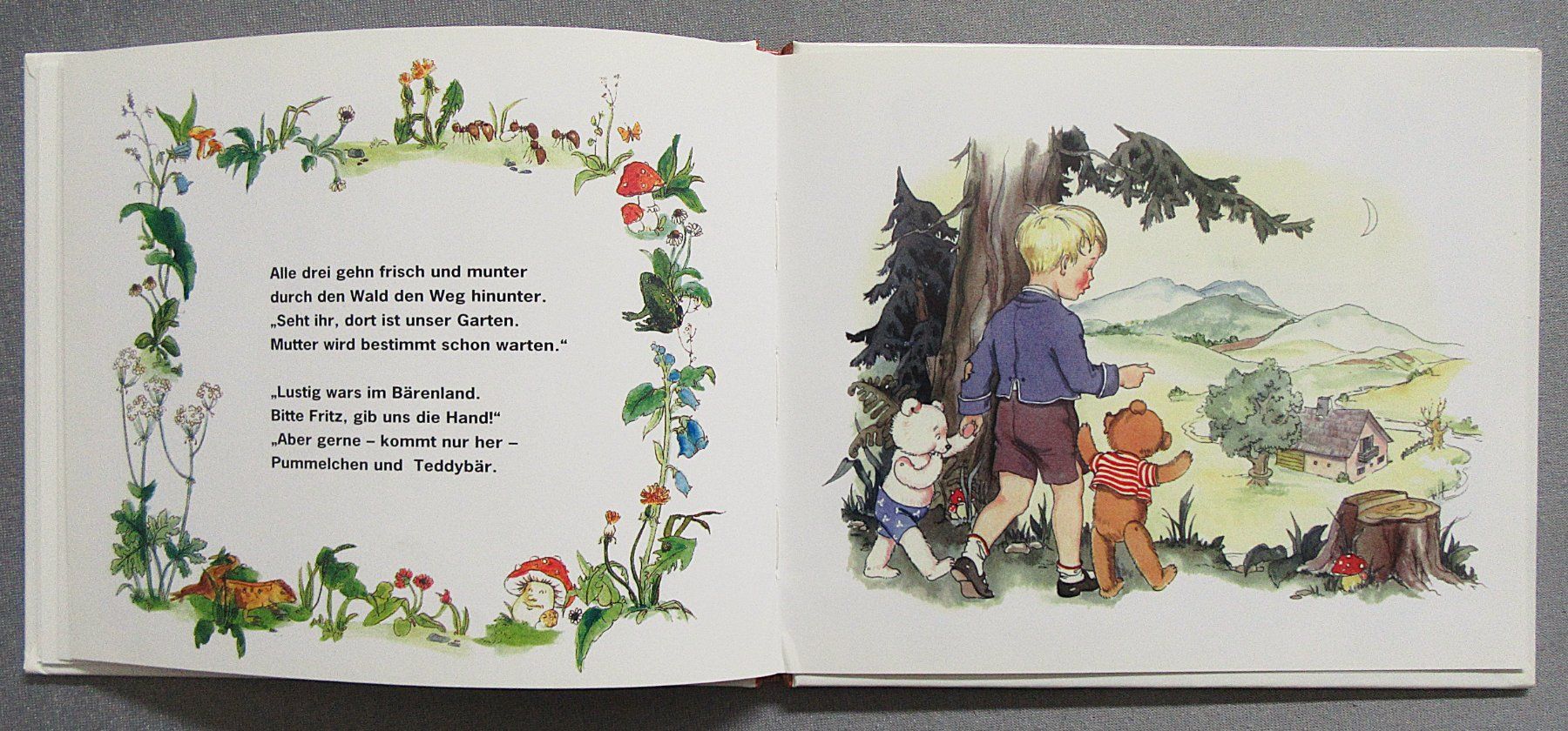 Libri: Teddy und sein Bruder - kleines Bilderbuch – Usato da Auenstein venduto da Padabimbim 5