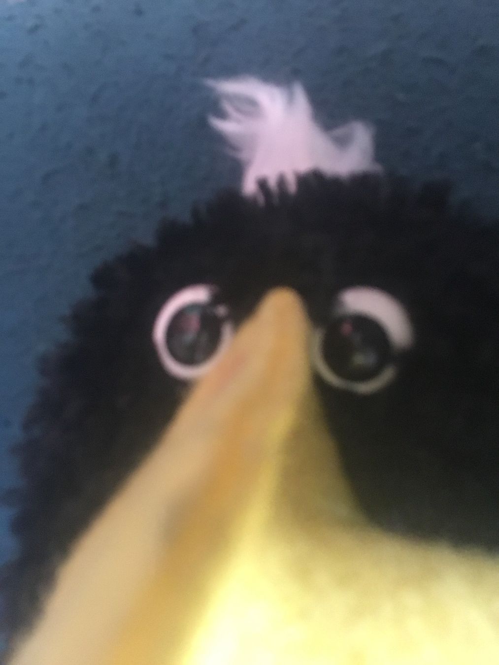 Bambole: Handpuppe Vintage – Usato da Schlieren venduto da Jeajet 5