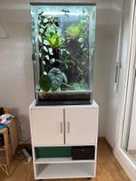 Terrarium bepflanzt inkl. Beregnungsanlage&Licht