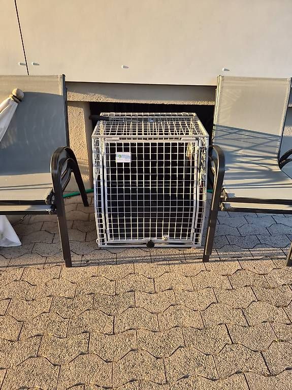Cages, transport & sécurité: Hundebox – D'occasion à Rapperswil SG par HUE-RO-RA