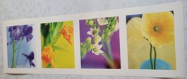 Blumen Poster / Bild 30 x 91 cm - "Believe Hope Live Love"