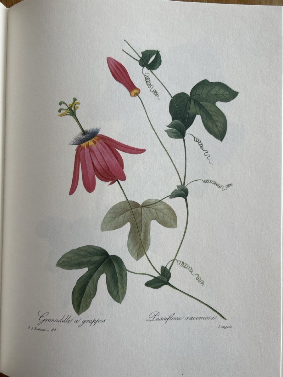 Bücher: Die schönsten Blumen und Früchte – Gebraucht aus Uffikon von Frosch1506 2