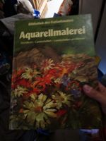 Aquarellmalerei Grundkurs Landschaften Sommerbuch Kunst 