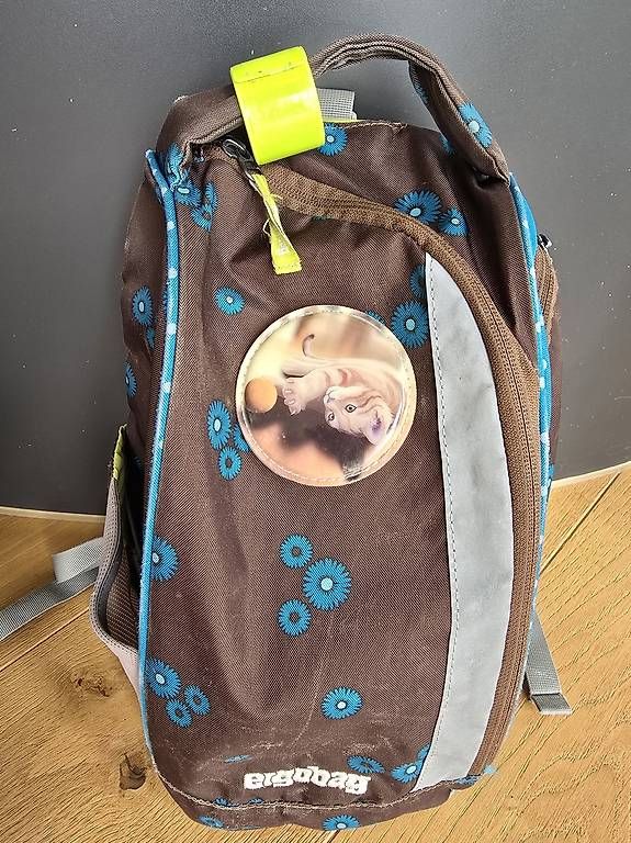 Borse & Zaini: Ergobag Schulthek  – Usato da Abtwil AG venduto da Stern1969 1