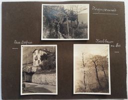 5 Fotos: Melide - Casa Hafner und Umgebung / Tessin, 1924