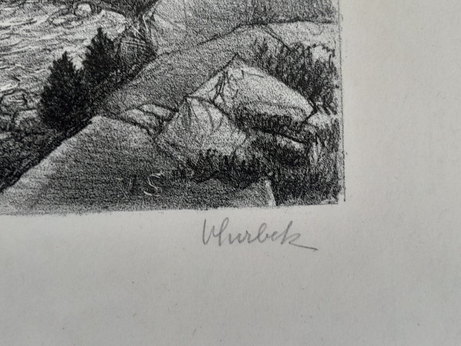 Grafica & Litografie: V.Surbek Litho " Berner Oberland " – Usato da Thun venduto da Treff.....e 2