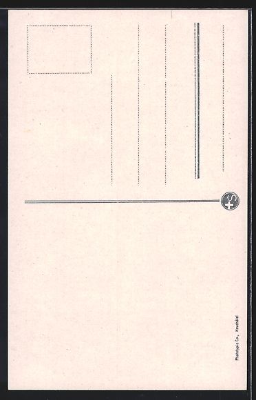 Cartoline postali: Genève, Rue du Mont Blanc, Strassenbahn – Usato da Berlin venduto da bartko-reher 1