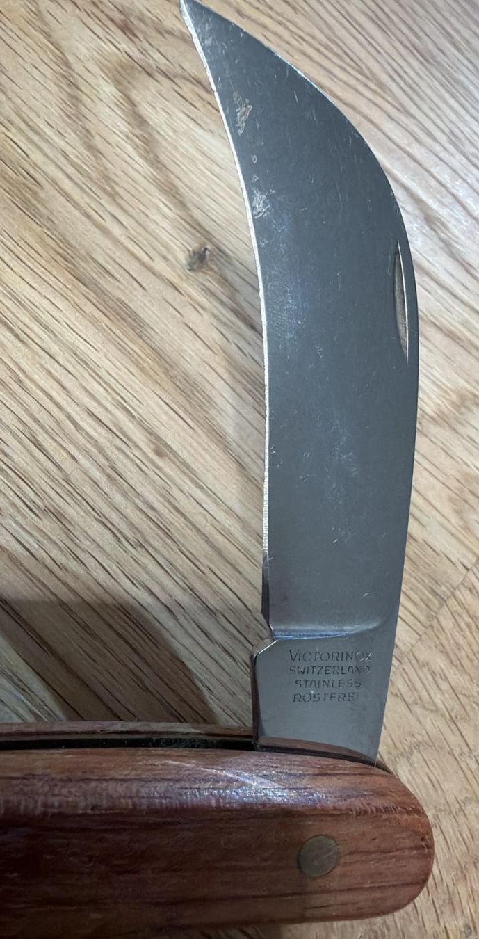 Victorinox Coltelli tascabile: VICTORINOX SACKMESSER – Usato da Zürich venduto da Frei-Occasionen 3