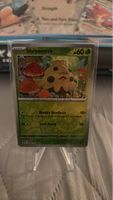 Pokemon Karte: Shroomish Reverse Holo
