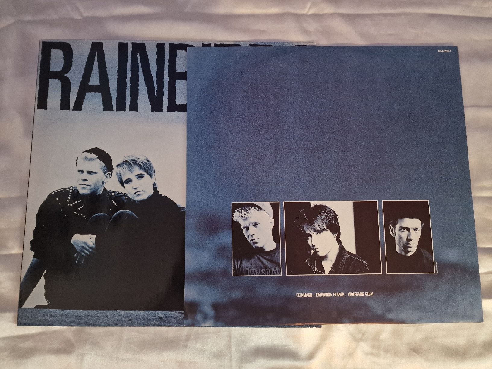 Dischi in vinile: Rainbirds - Rainbirds – Usato da Pfaffnau venduto da gunport 2