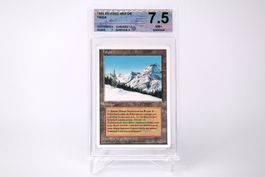 MTG Taiga Revised Gegradet Deutsch