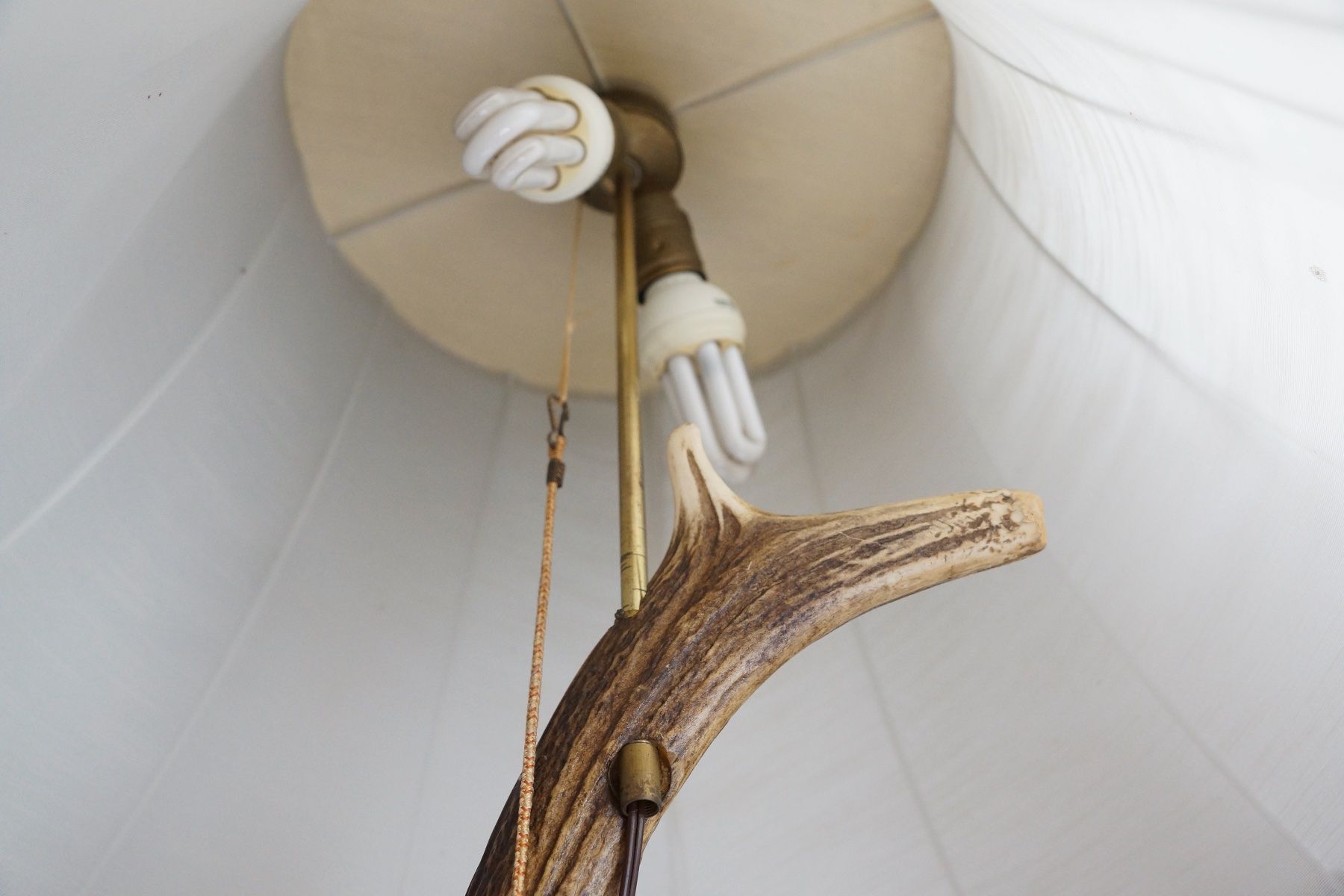 Lampade: Ständerlampe aus Hirschhorn – Usato da Obstalden venduto da Porco13 2
