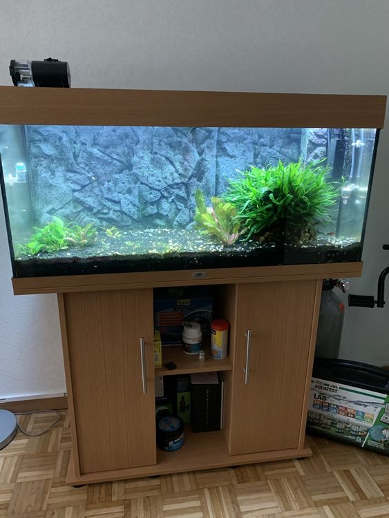 Komplettes Aquarium 180 Liter (Gebraucht) in Effretikon für CHF 110 ...