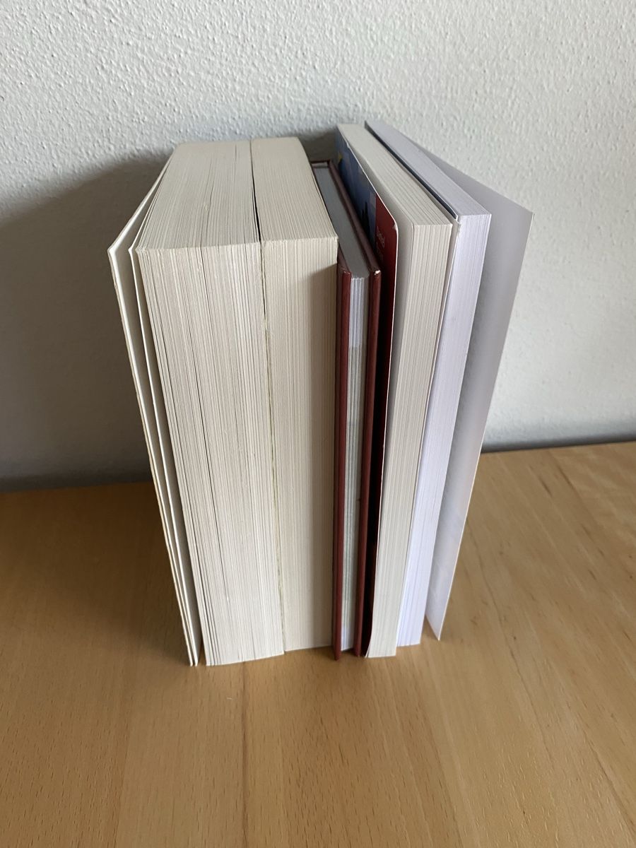 Livres: 5 Minecraft Bücher – D'occasion à Schwarzenburg par Michellu 3