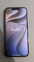 Apple iPhone 13 pro 256 GB blk. Display Akku neu