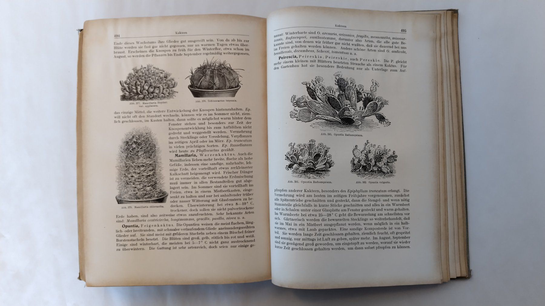 Libri: Allgemeines Gartenbuch 1926 / Gartengestaltung + Topfblumen – Usato da Bellach venduto da JingleJerry 5