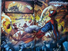 Im Netz von Spider-Man 6         Spider-Man India