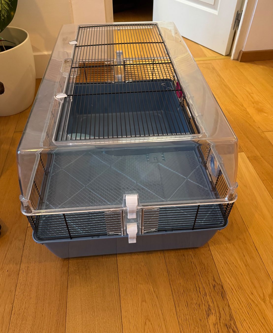 Ferplast Cages, transport & sécurité: Cage à Hamster – D'occasion à Porrentruy par jac_7zzy 2