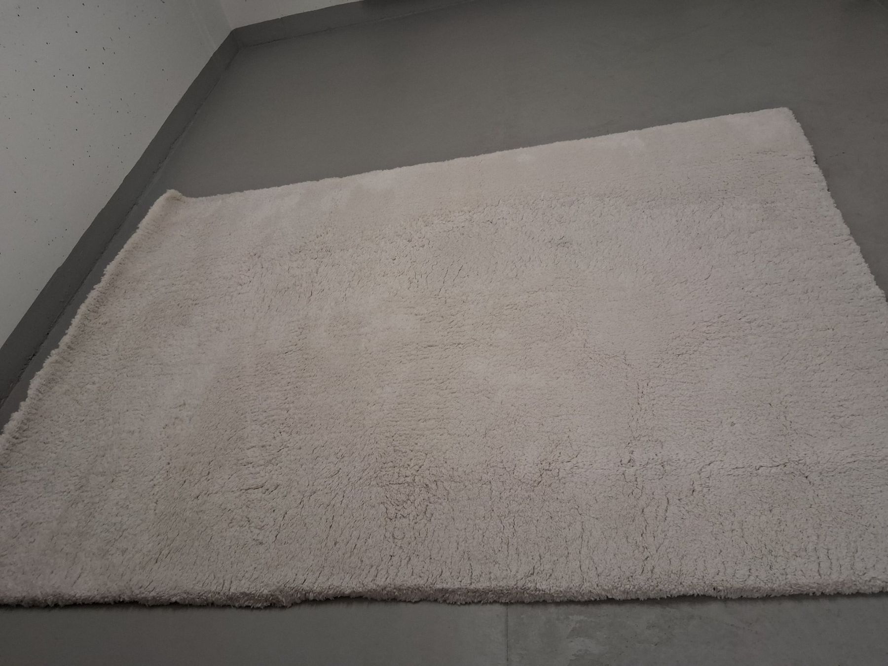Micasa Tappeti: Hochflor- & Shaggy-Teppiche – Nuovo (secondo la descrizione) da Fruthwilen venduto da nin_gvs8 1