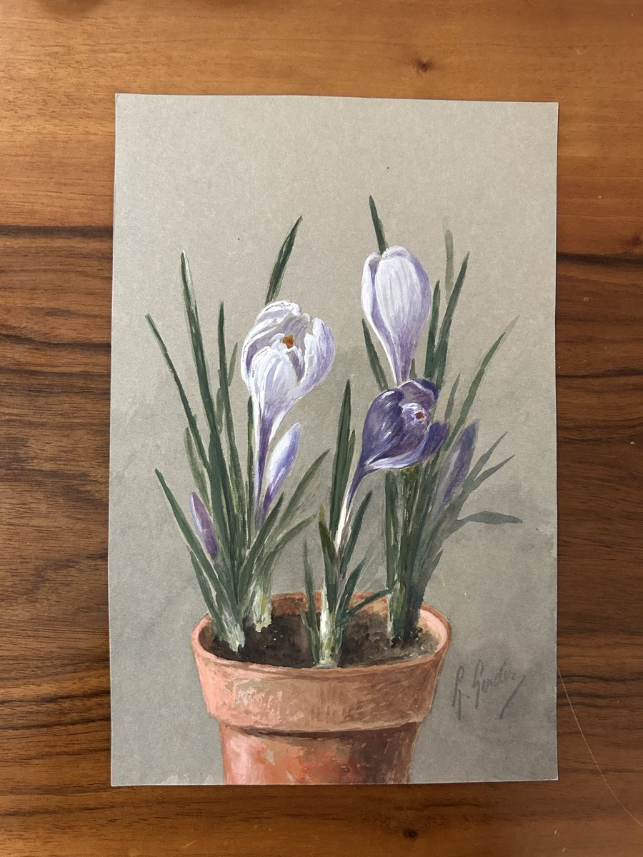 Posters & Illustrations: Blumen Bilder von B. Gender – D'occasion à Zürich par BashasBrockenhaus 6