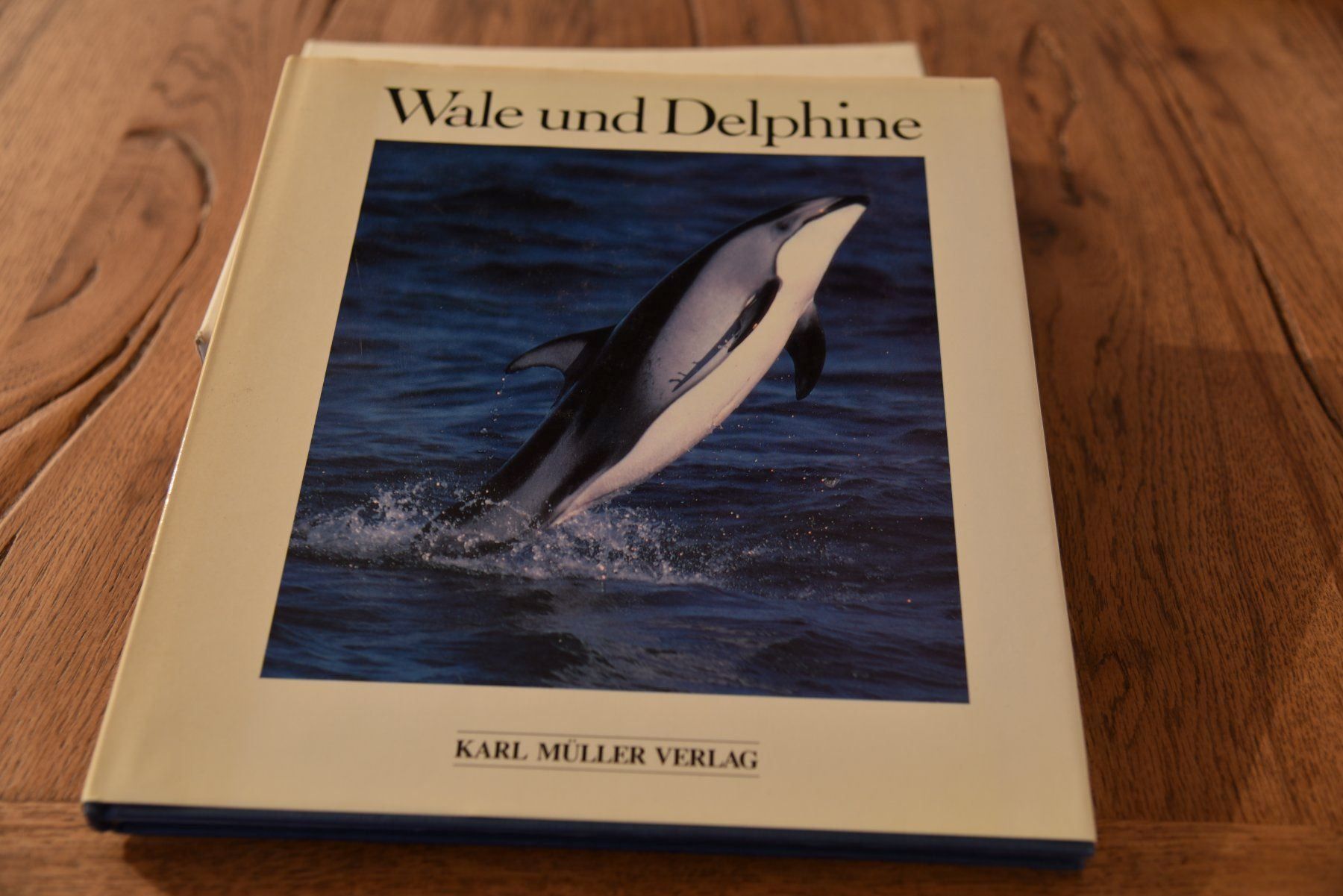 Libri: Wale und Delphine – Usato da Egerkingen venduto da John001