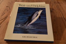 Wale und Delphine