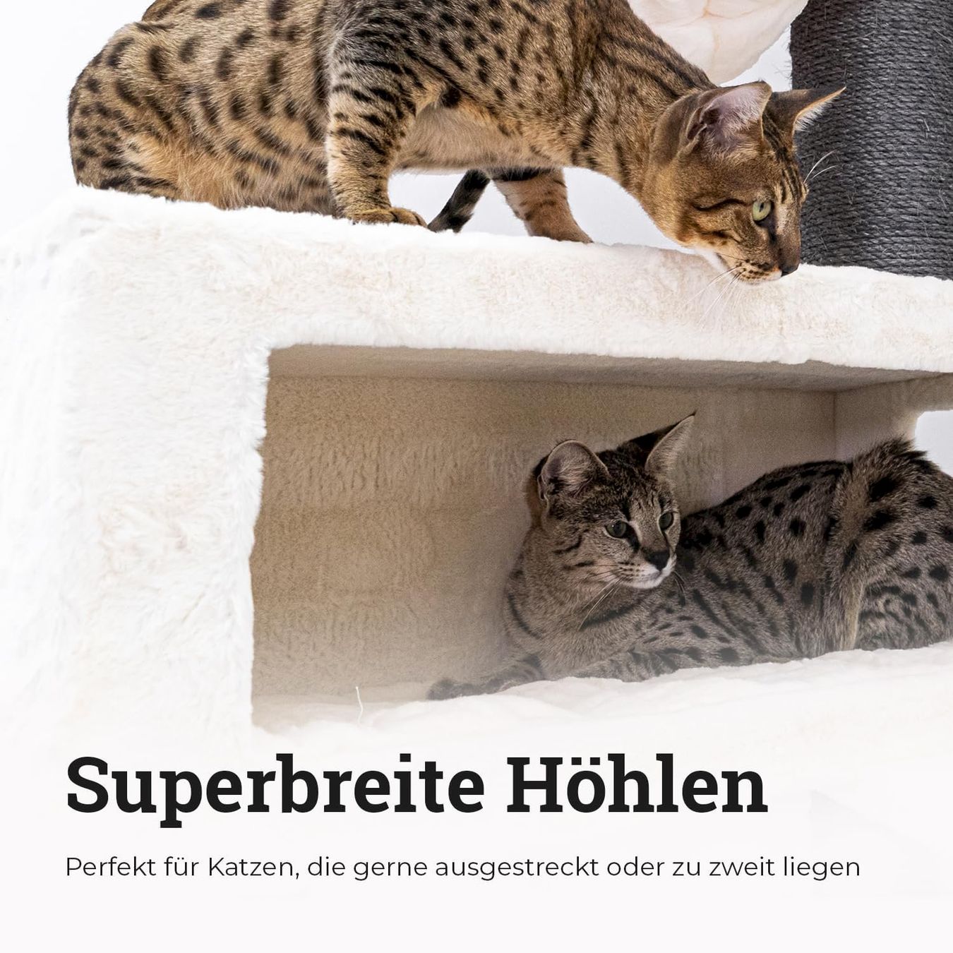 Katzenbaum - Kratzbaum: Petrebels Siberian 200 Kratzbaum White – Neu und originalverpackt aus Bottighofen von zaap 1