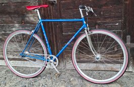 Cilo singlespeed in Gr M