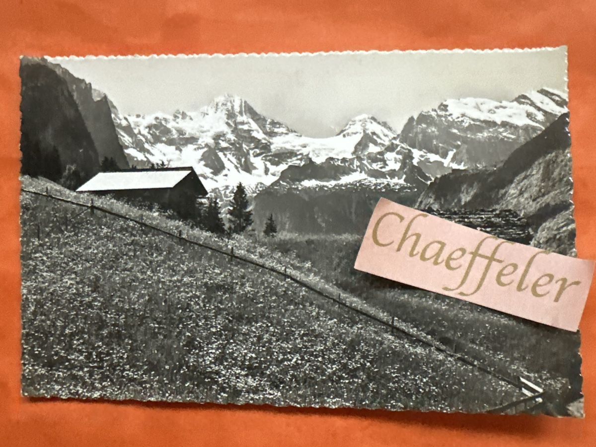 Cartoline postali: Wengen. Breithorn-Tschingelhorn – Usato da Zürich venduto da Chaeffeler
