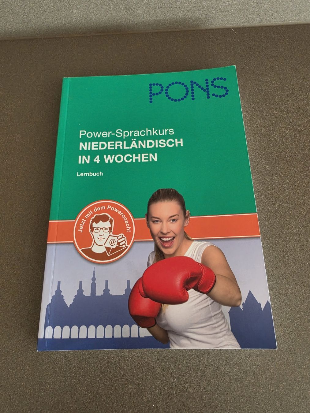 Libri: Pons Niederländisch in 4 Wochen – Nuovo (secondo la descrizione) da Lyss venduto da Tina_12345