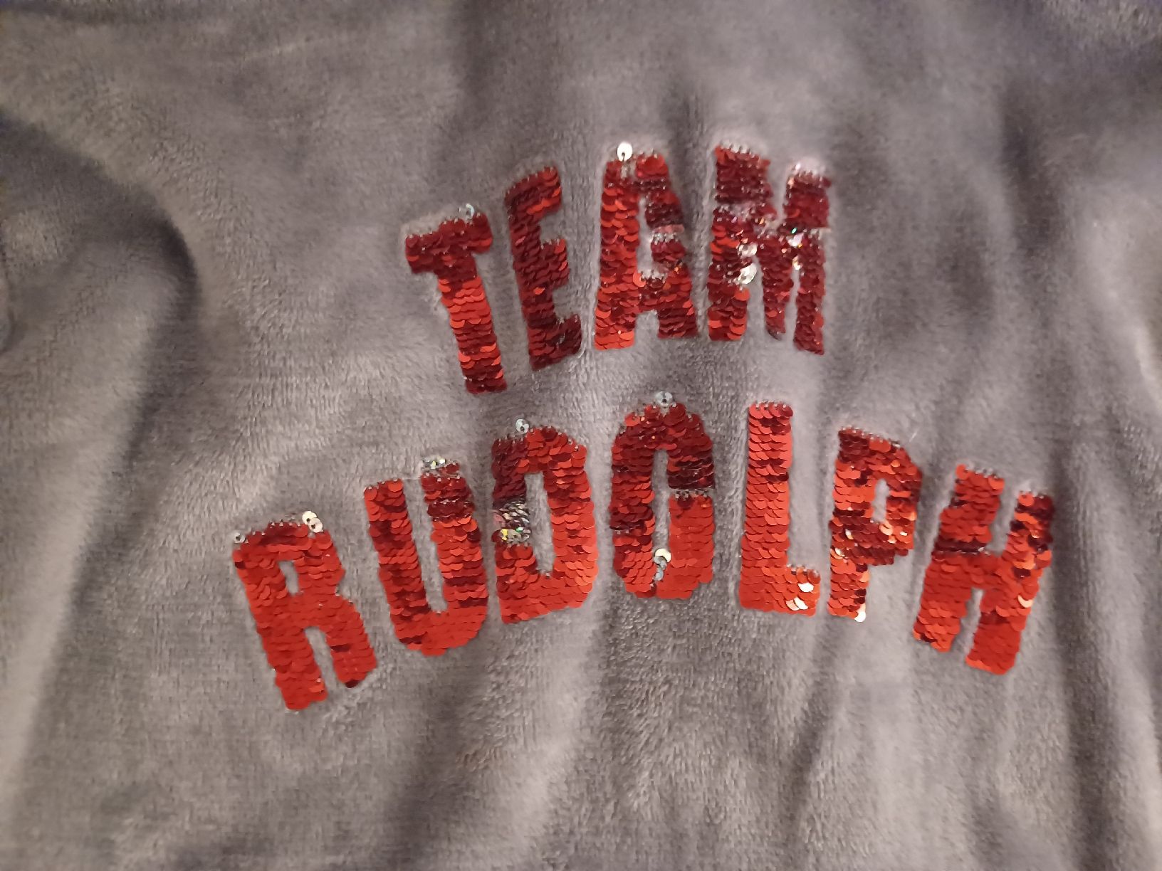 H&M Maglioni & Felpe: H&M Mädchen Pulli "Team Rudolph" Gr. 146/152 Grau Top! – Usato da Worben venduto da ersa01 1