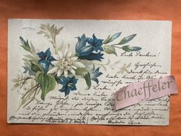 1901 Ansichtskarte mit Edelweiss und Enzian. ges Zürich & Wi